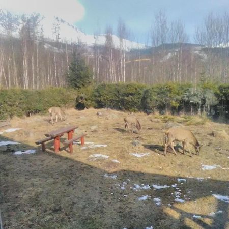 Villa Ester Татранська Ломниця Екстер'єр фото