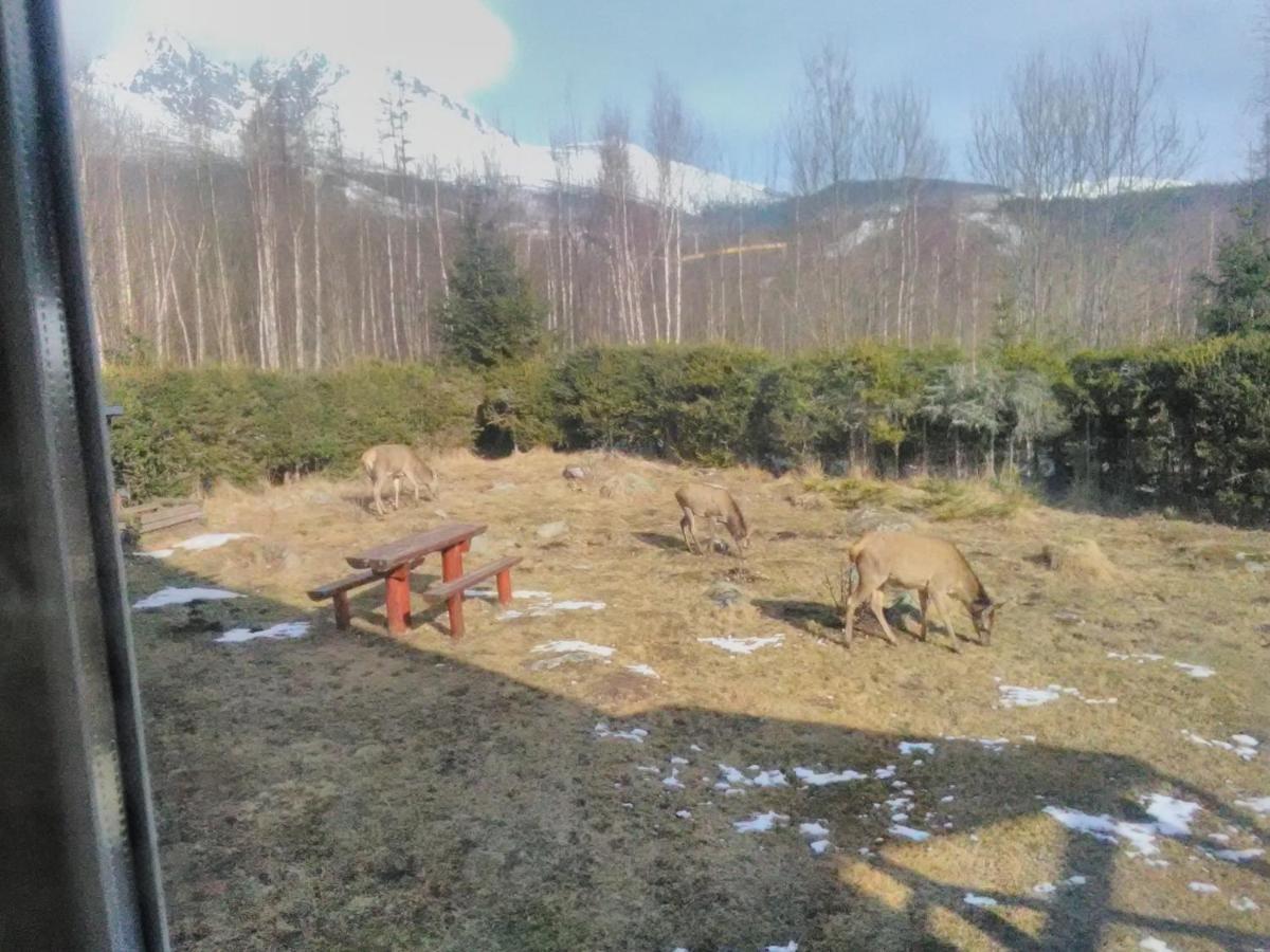 Villa Ester Татранська Ломниця Екстер'єр фото